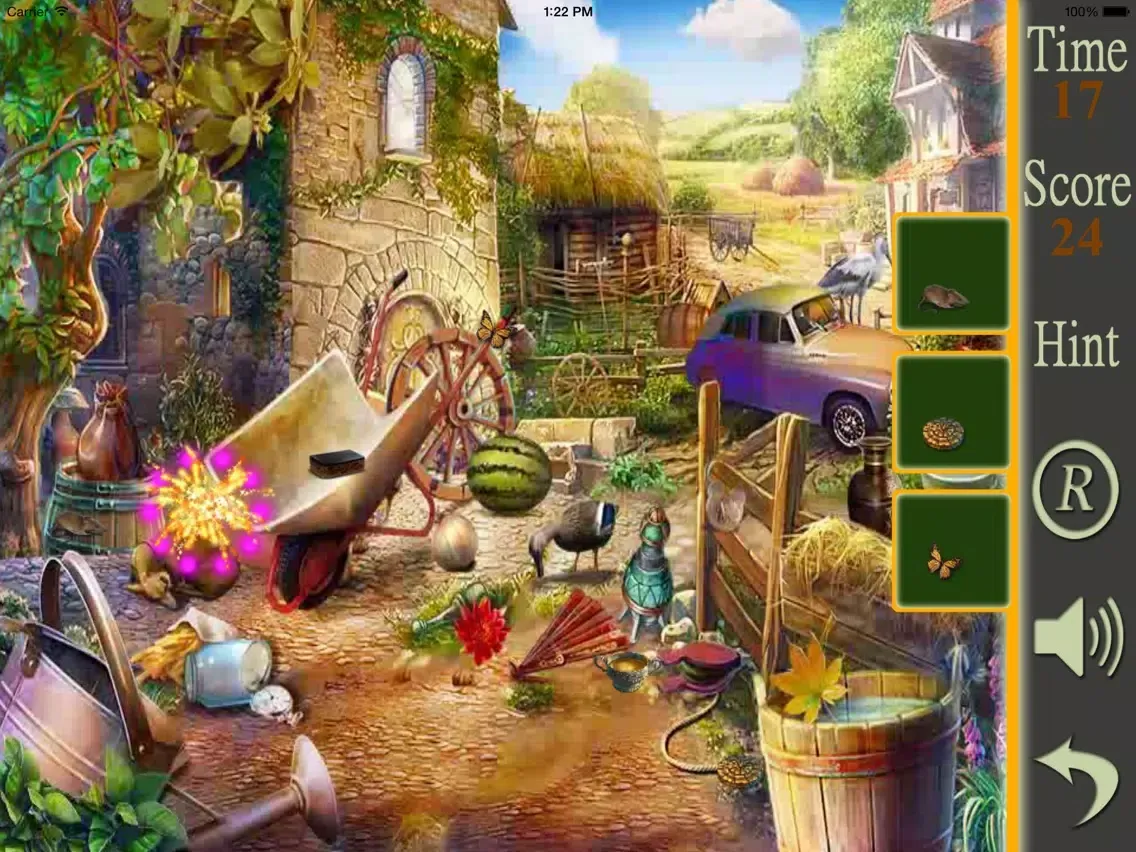 Hidden Objects A Picnic Weekend iPad  স্ক্রিনশট
