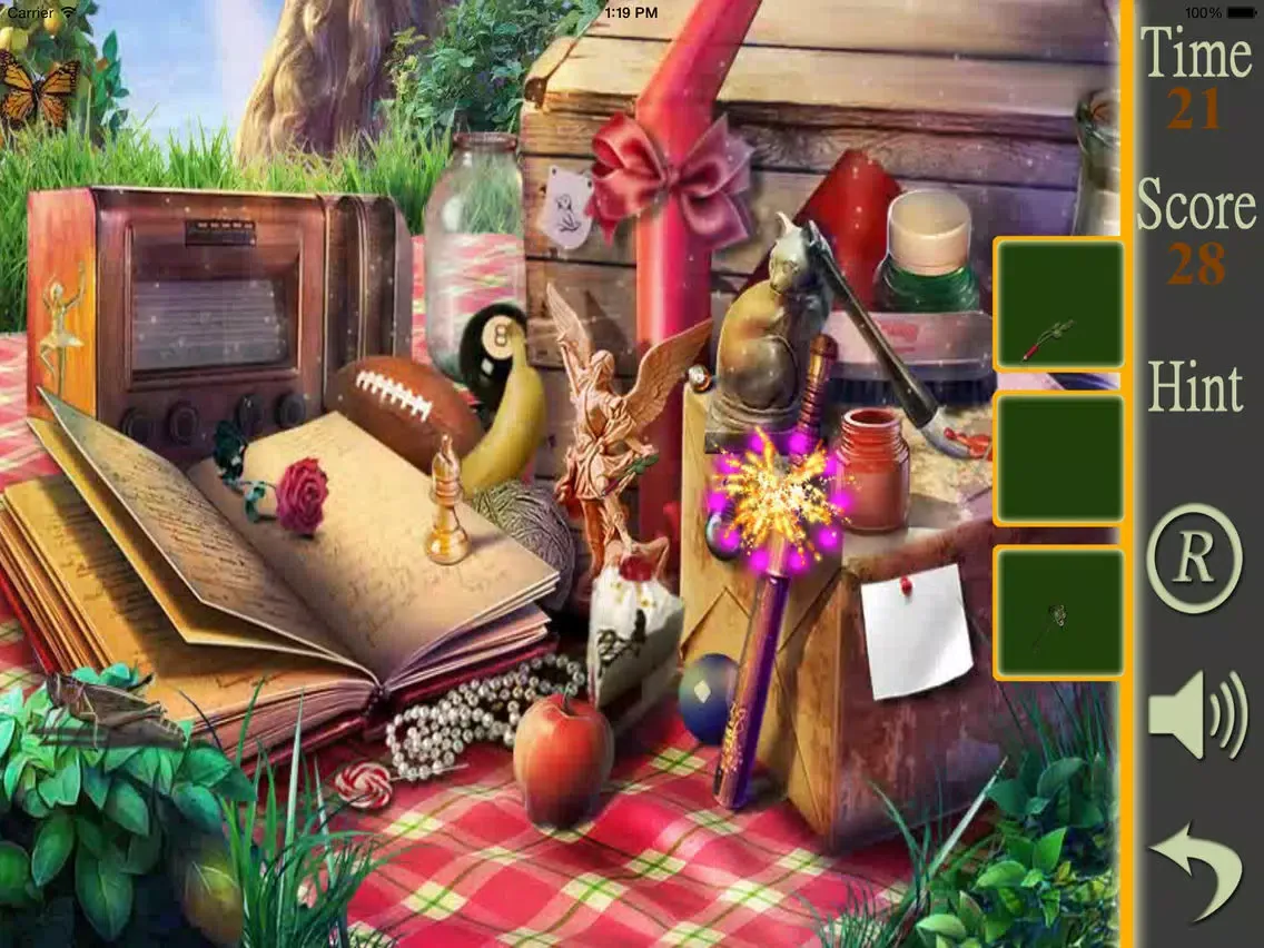 Hidden Objects A Picnic Weekend iPad  স্ক্রিনশট