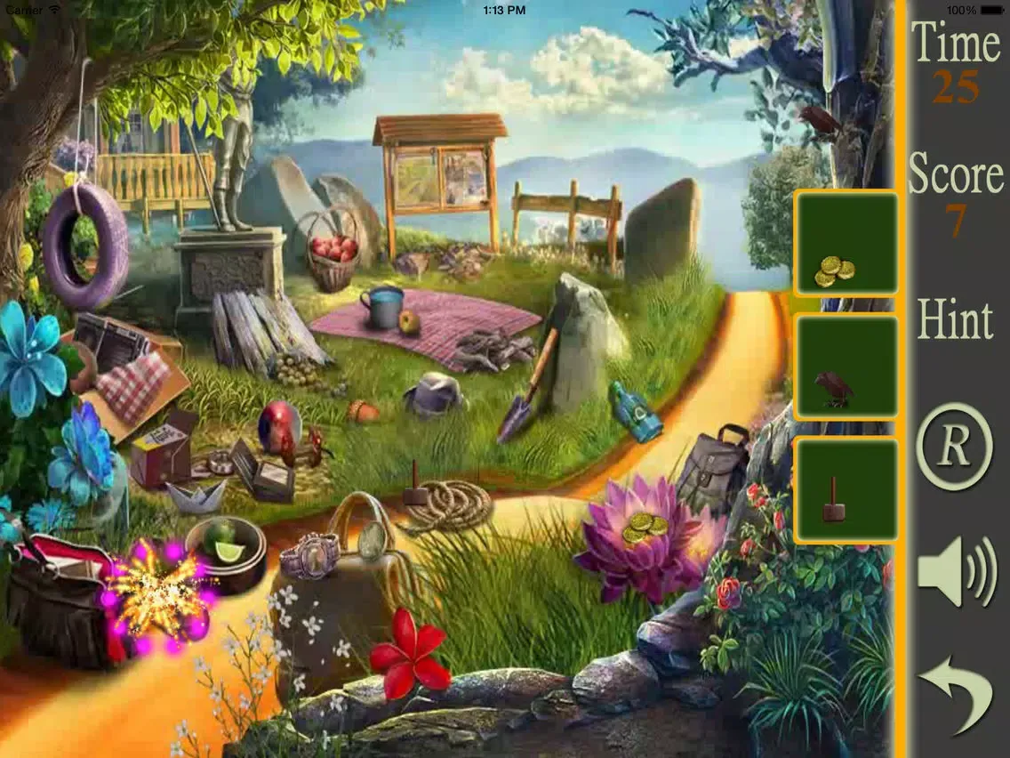 Hidden Objects A Picnic Weekend iPad  স্ক্রিনশট