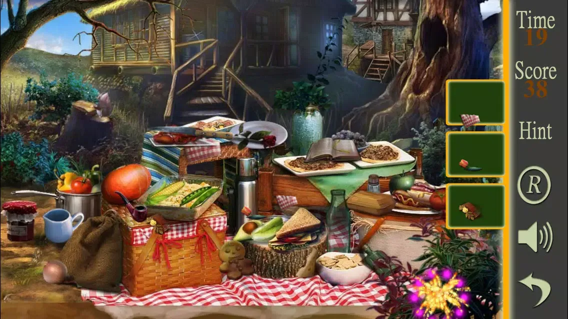 Hidden Objects A Picnic Weekend স্ক্রিনশট