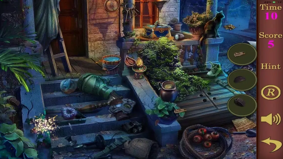 Hidden Objects In A House应用截图