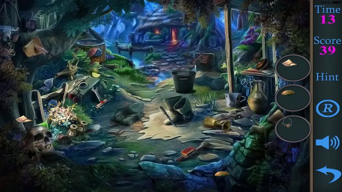 تصاویر Hidden Objects Of A Dark Side Of The Forest
