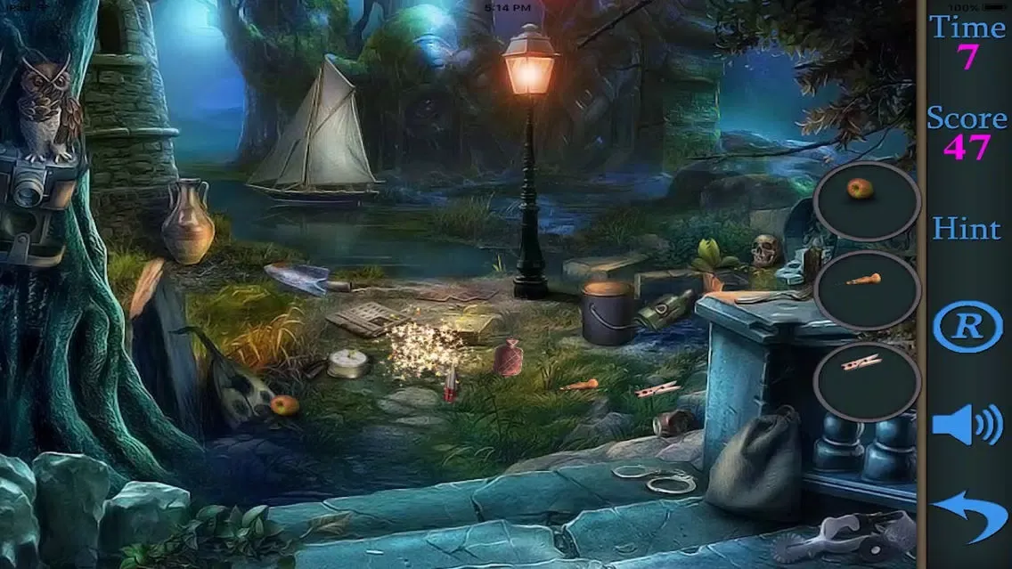تصاویر Hidden Objects Of A Dark Side Of The Forest