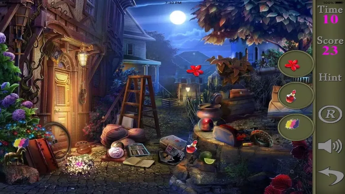 Hidden Objects Of A Murder On A Full Moon Screenshots