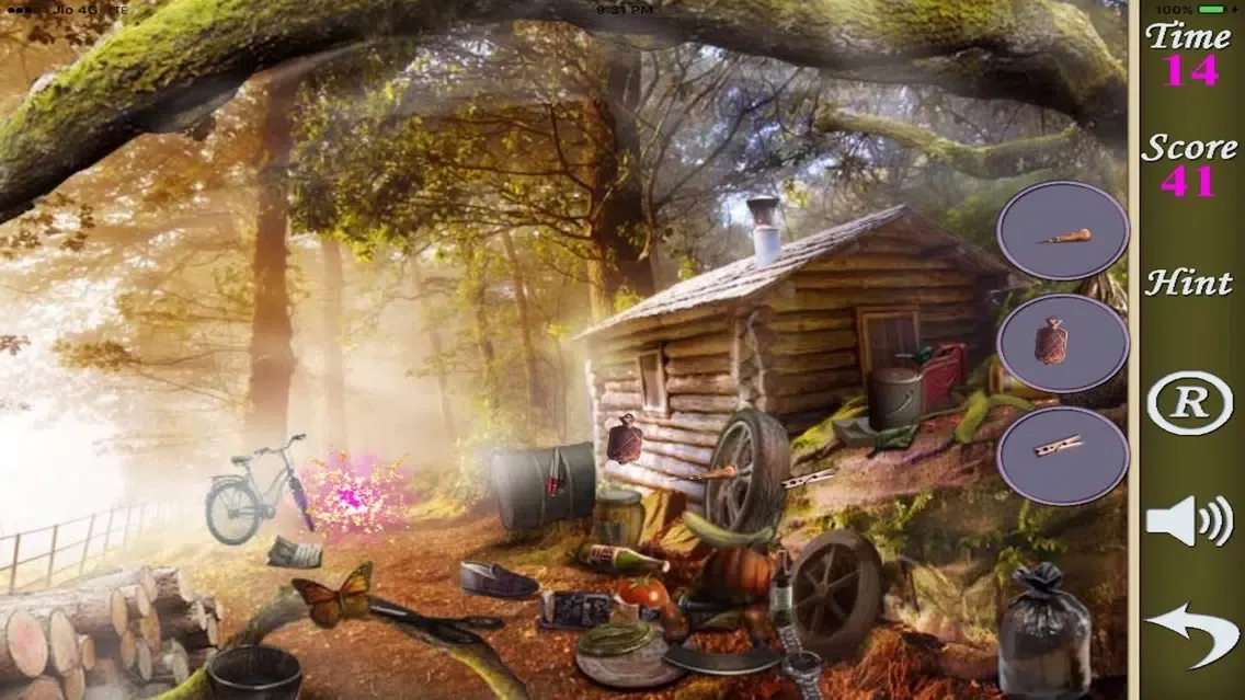 Hidden Objects Of The Forest Town স্ক্রিনশট