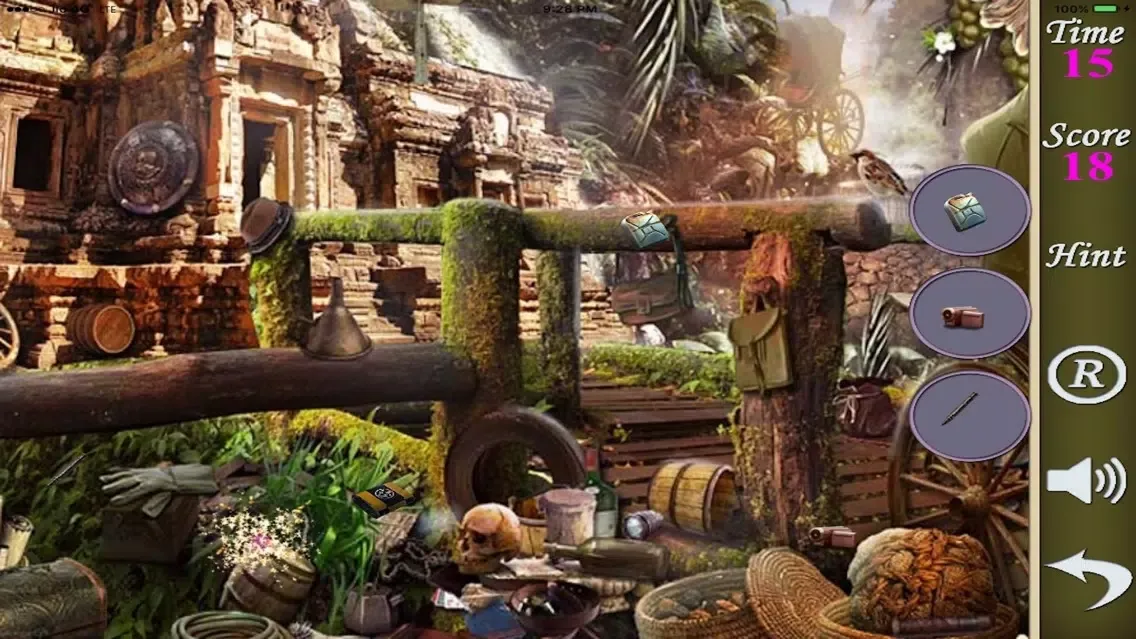 Hidden Objects Of The Forest Town স্ক্রিনশট