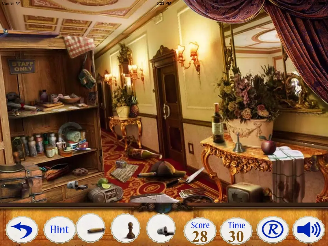 Hidden Objects:A Venice Memories iPad 應用截圖
