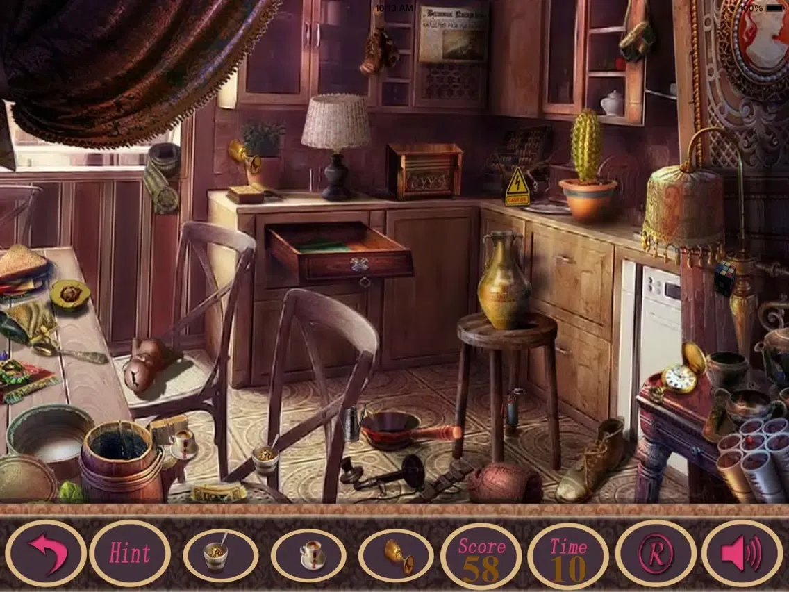 تصاویر Hidden Objects Holiday Cleaning Tips iPad 