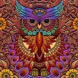 Coloring Owl:Paint Color Cases