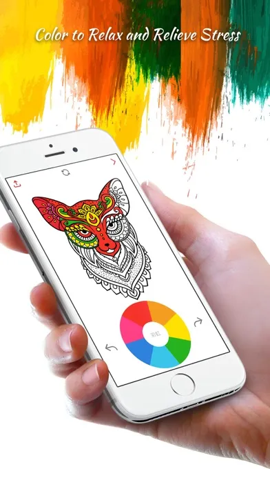 صور Coloring Owl:Paint Color Cases