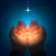 Grace - Bible Verses