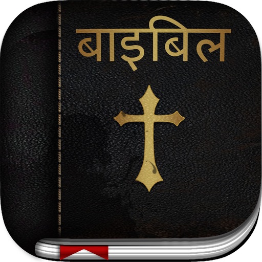 Hindi Bible: Easy to use bible app in hindi for daily christian bible book reading