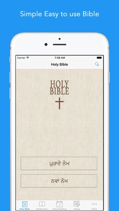 Punjabi Bible: Easy to use Bible app in Punjabi for daily Bible book reading Screenshots