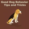 All about Good Dog Behavior Tips and Tricks All about Good Dog Behavior Tips and Tricks