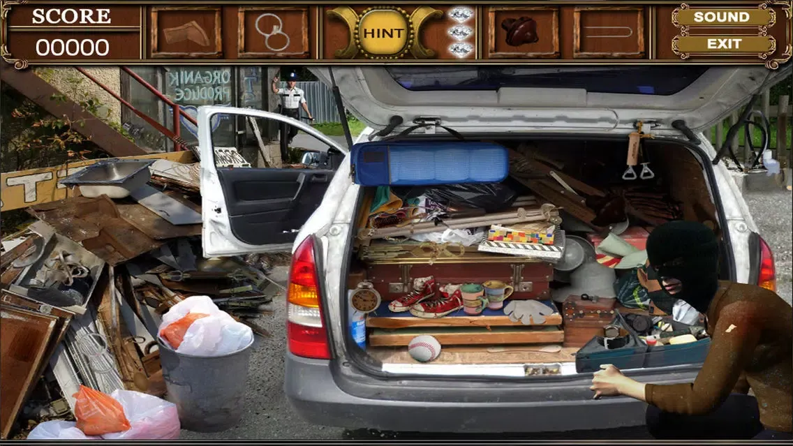 ภาพหน้าจอของ Diamond Thief Hidden Object