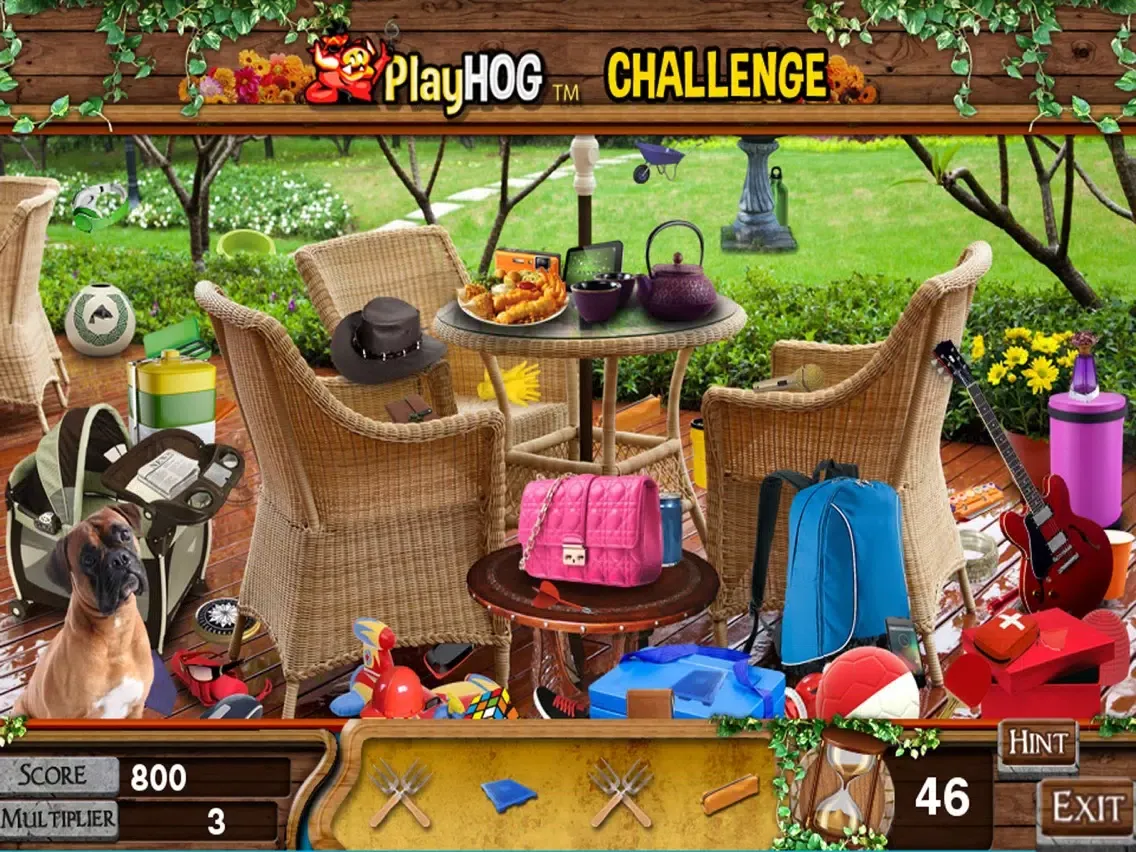 Capturas de pantalla de Backyard Story Hidden Objects iPad 