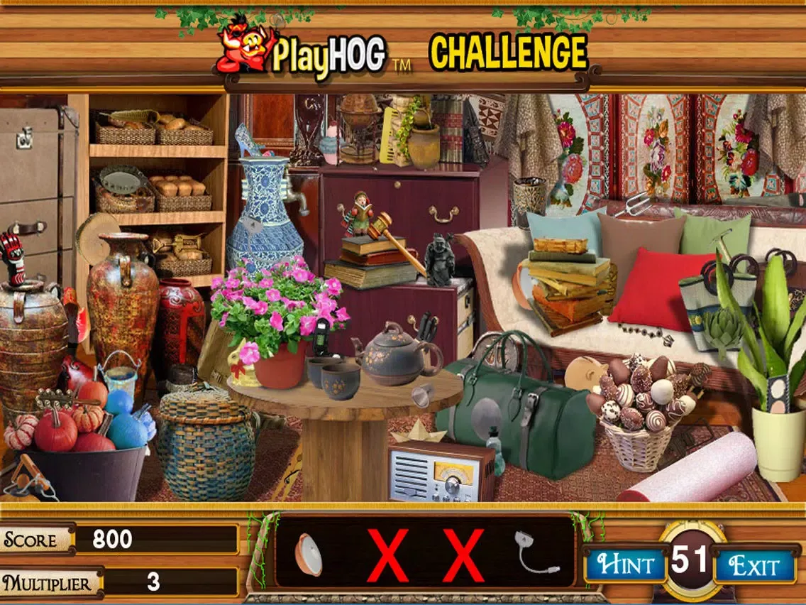 Royal Cottage Hidden Objects iPad 应用截图