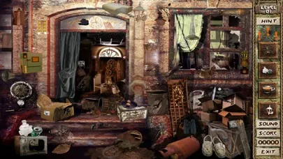 ภาพหน้าจอของ Pack Rat Mania Hidden Object