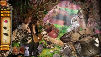 Captures d'écran de Diamond Hunter Hidden Object