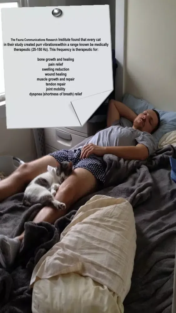 Скриншоты Purrrfect Sleep