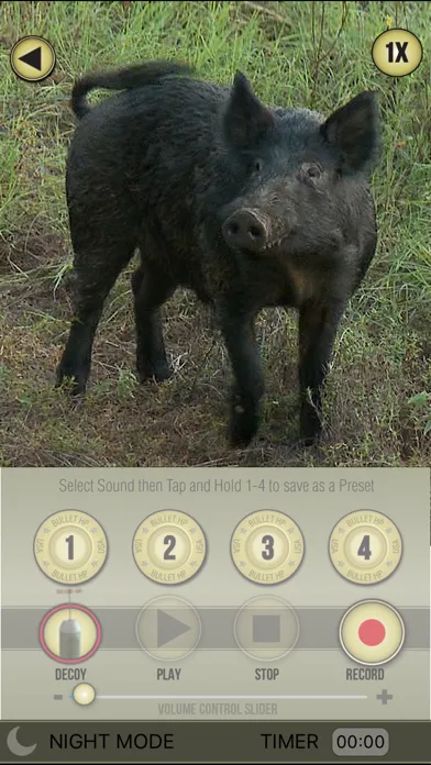 Zrzuty ekranu Wild Hog Pro