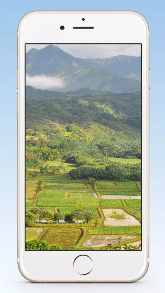 Kauai Wallpaper Ekran Görüntüleri