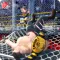 Wrestling Cage Revolution