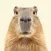 Capybara Wallpaper