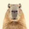 Capybara Wallpaper