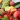 Fruits and Vegetables