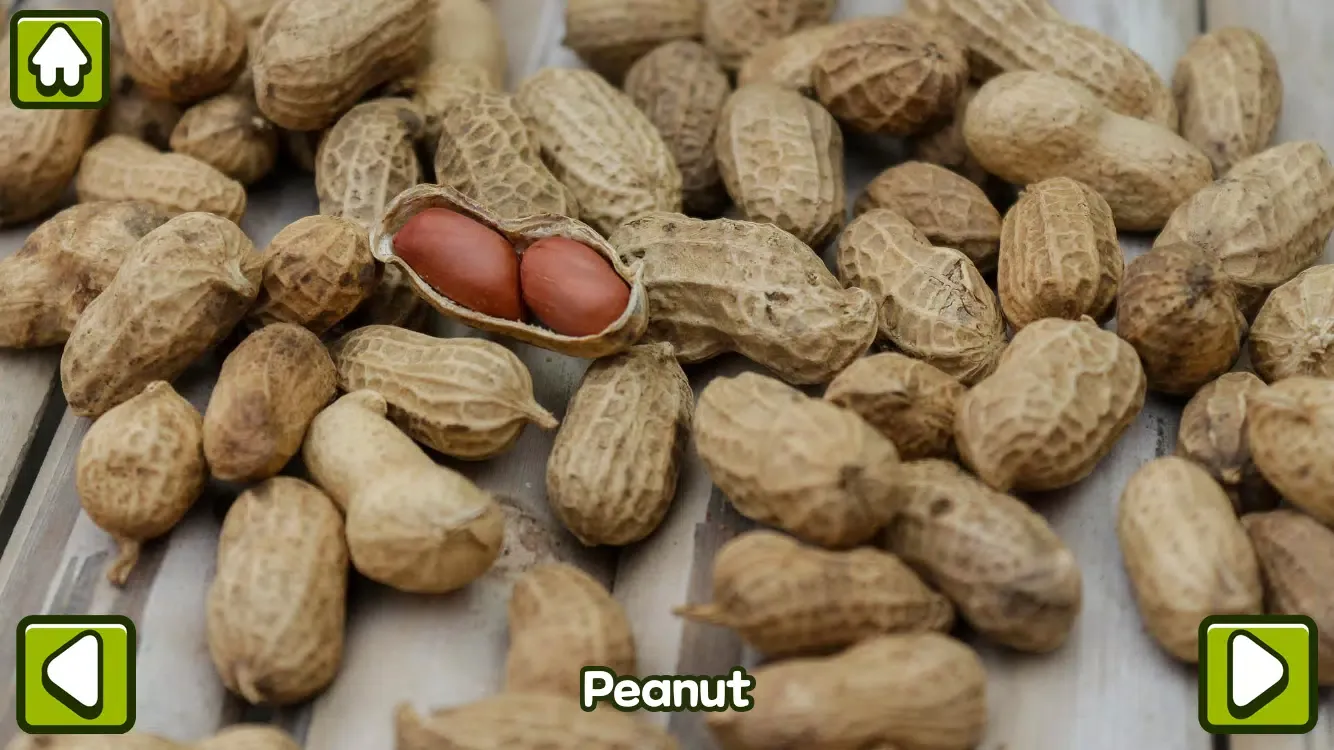 Captures d'écran de Fruits and Vegetables
