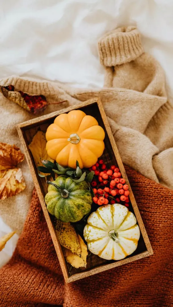 Capturas de pantalla de Thanksgiving Wallpaper