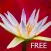 Yoga Virtuoso Free with Lyndon: Move, Stretch, Dance