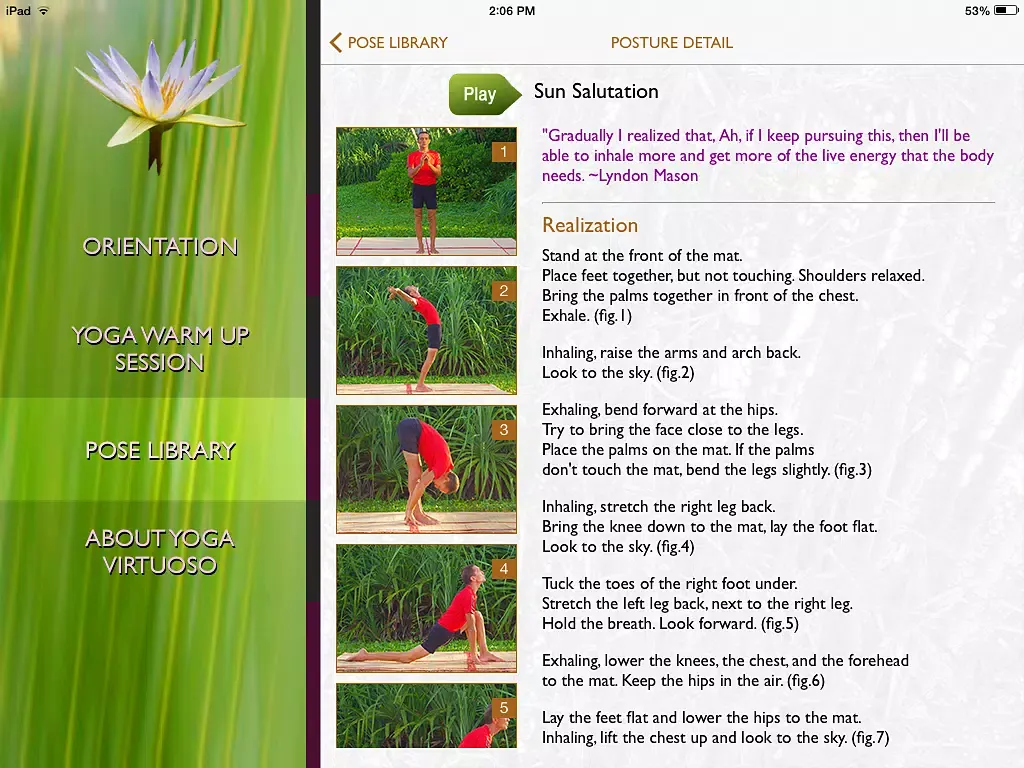 Captures d'écran de Yoga Virtuoso Free with Lyndon: Move, Stretch, Dance iPad 