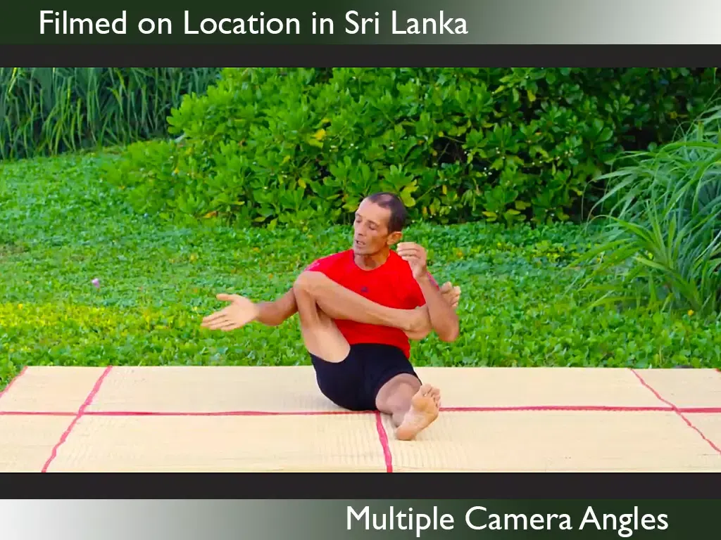 Captures d'écran de Yoga Virtuoso Free with Lyndon: Move, Stretch, Dance iPad 