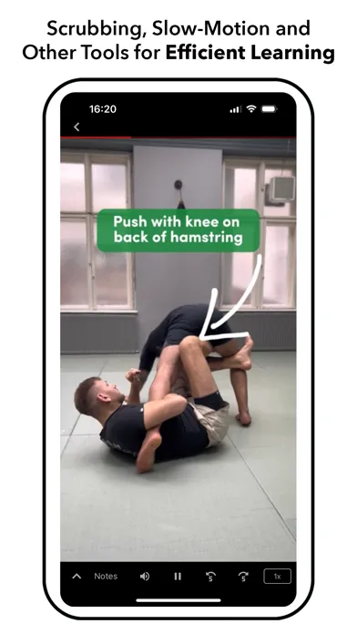 Скриншоты Systematic Jiu Jitsu