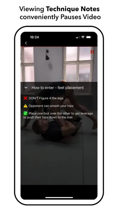 Скриншоты Systematic Jiu Jitsu