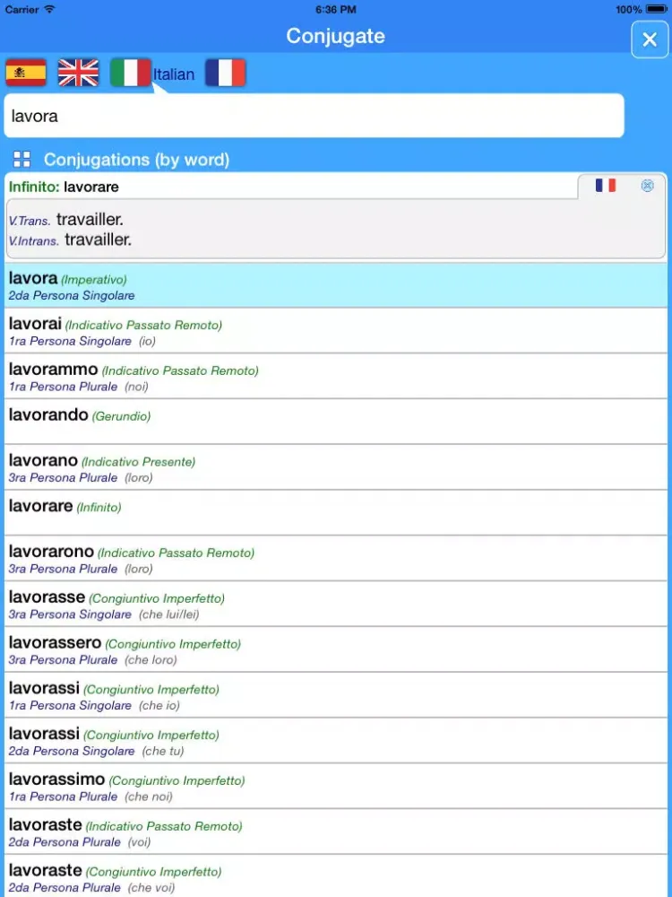Captures d'écran de Translator Suite Italian-French (Offline) iPad 