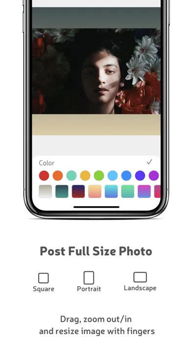 White Background Screenshots