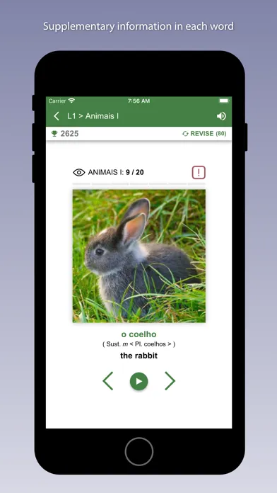 صور Learn Portuguese - Bilinguae