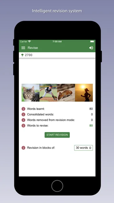 صور Learn Portuguese - Bilinguae