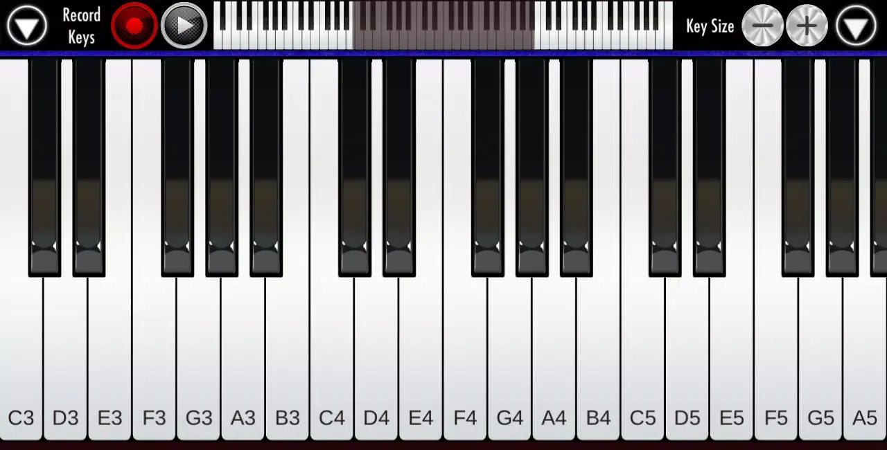 Real Piano স্ক্রিনশট