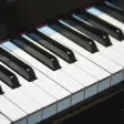 Real Piano - Play And Learn