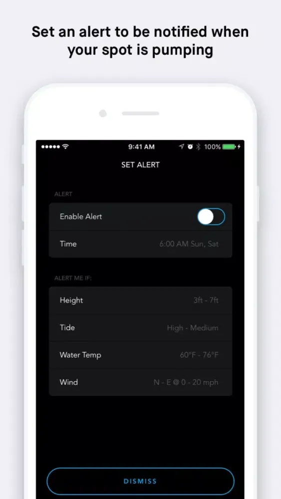 Captures d'écran de Billabong Surf Report