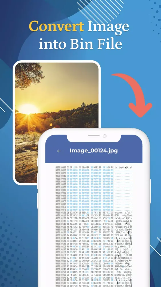 Bin File Opener : Bin Viewer应用截图