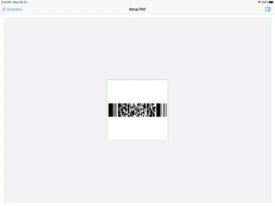 PDF417 DECO iPad 應用截圖
