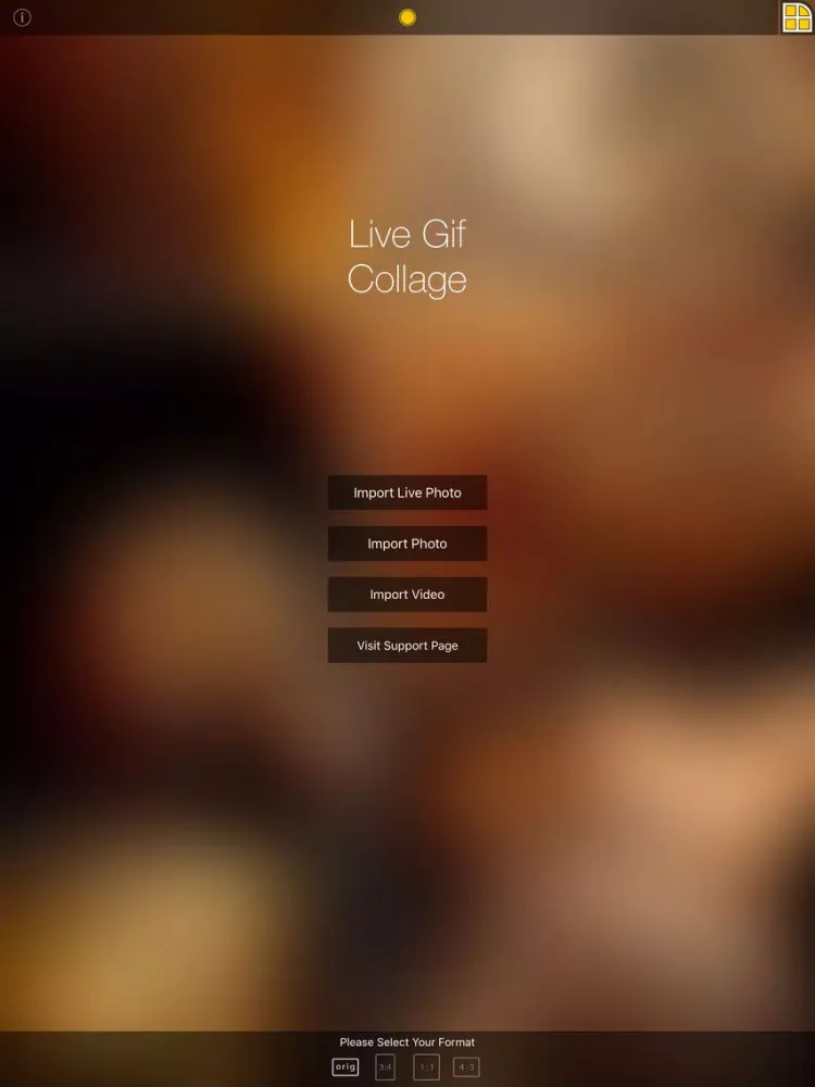 CColage - Creative Collage from Live Photo, Photo or Video iPad  Screenshots