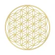 Binary Spirituality Binary Spirituality