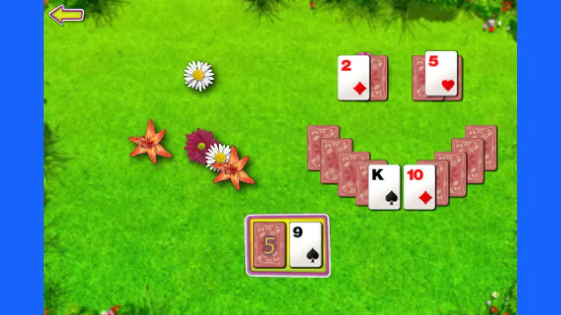 تصاویر Summer Solitaire – The Beautiful Card Game