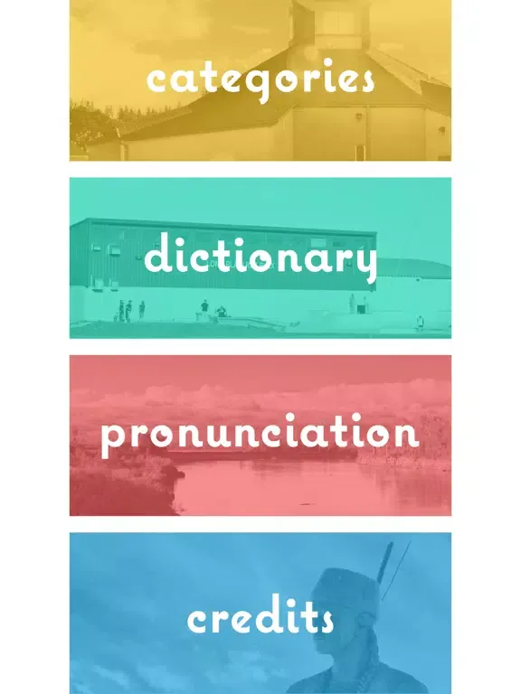 Capturas de pantalla de Long Plain Dictionary iPad 